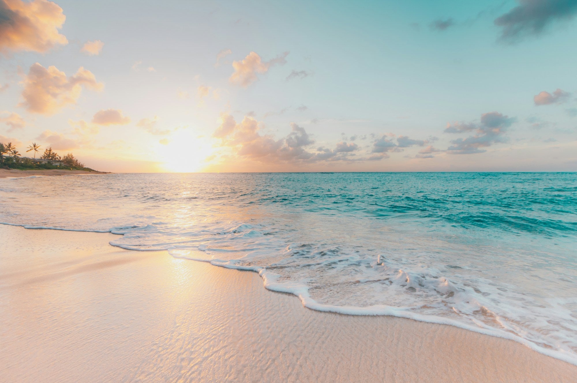 BEACHLIFE