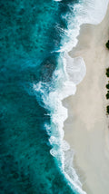 The Surf Kit