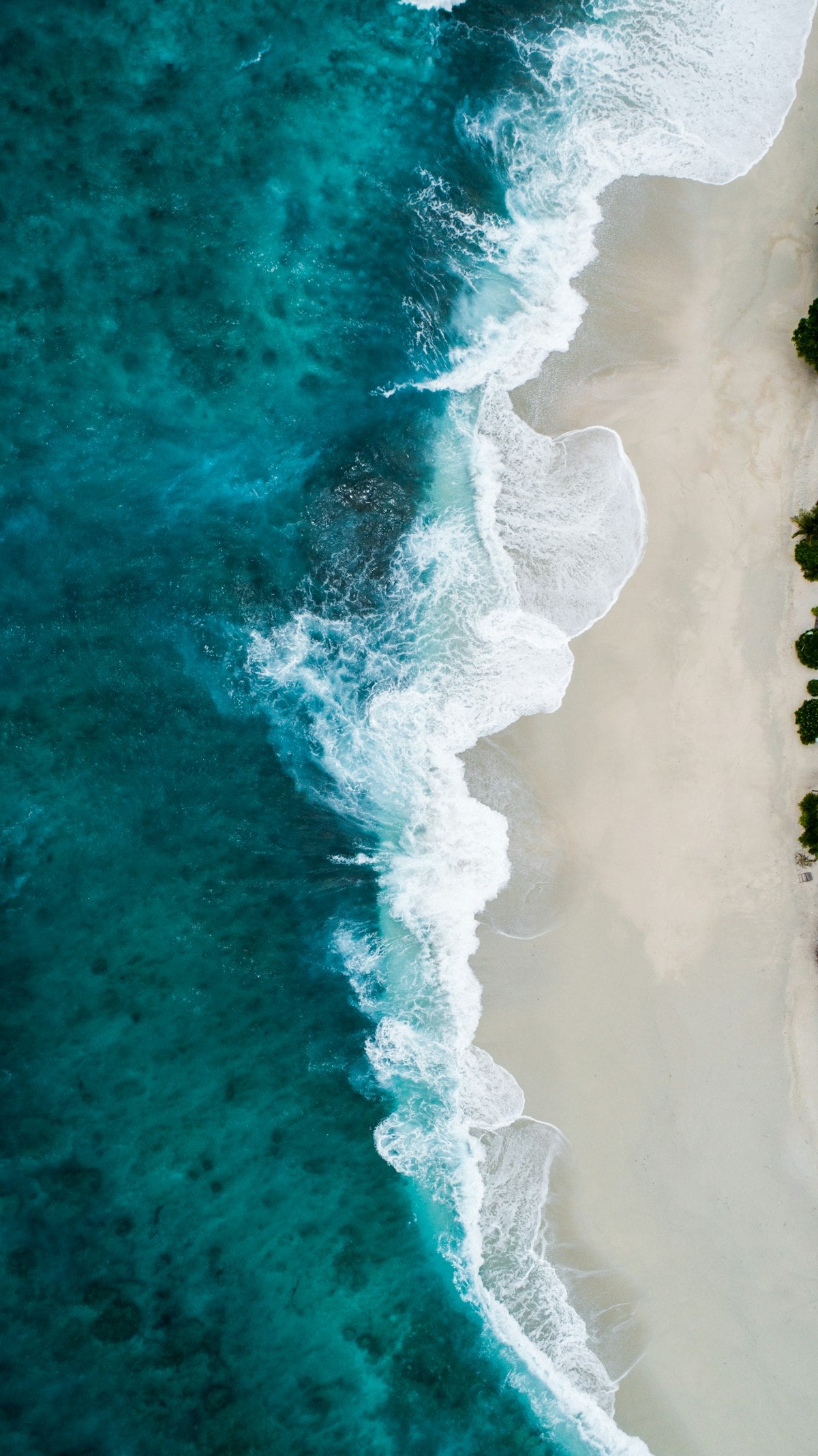 The Surf Kit